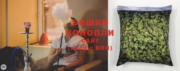 PSILOCYBIN Киреевск