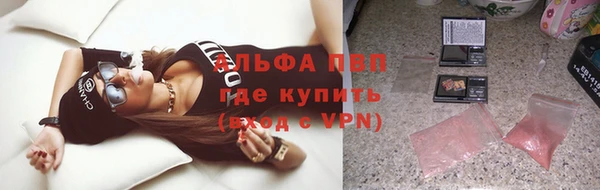 молекула духа Козловка