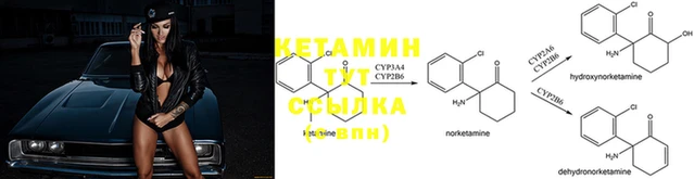 PSILOCYBIN Киреевск