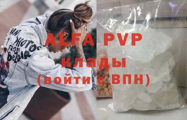 молекула духа Козловка