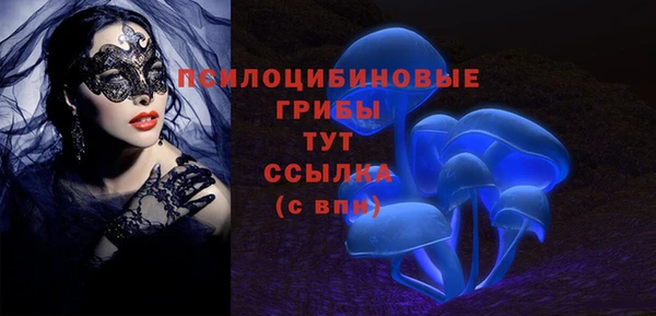 спиды Кинешма