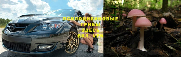 PSILOCYBIN Киреевск