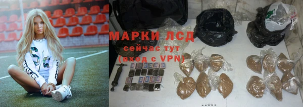 тгк Каменногорск