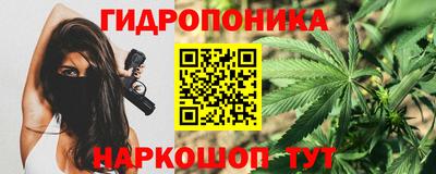 прущие грибы Канаш