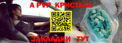 шишки Кандалакша